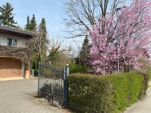 Apartments In Leafy Suburb Kehrsatz Exterior foto